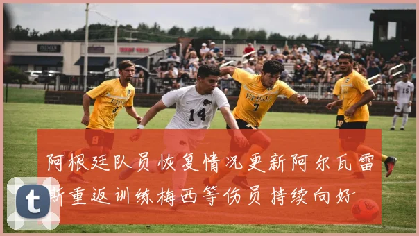 阿根廷队员恢复情况更新阿尔瓦雷斯重返训练梅西等伤员持续向好